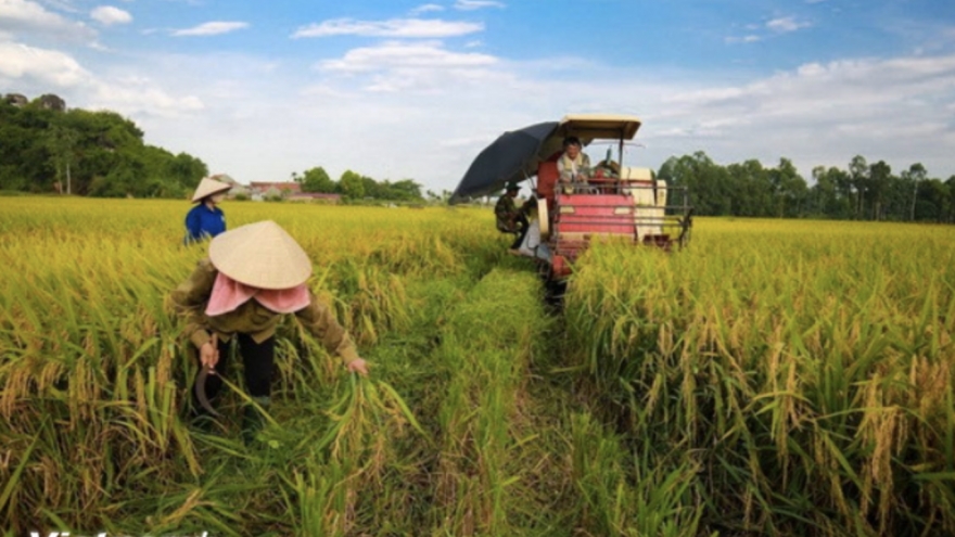 ADB, BIDV support Vietnam’s green agriculture with US$250 mil financing package
